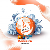 Табак Burn Iceberg (Холодок) 25г Акцизный